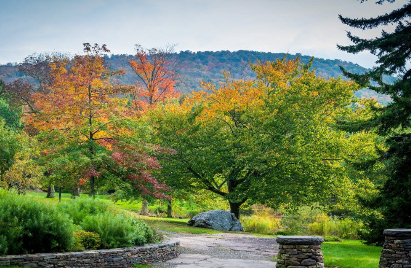 Mountain Top Arboretum, United States